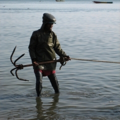 Senegal (21)