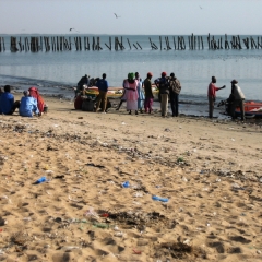 Senegal (25)