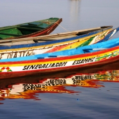 Senegal (3)