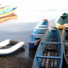 Senegal (6)