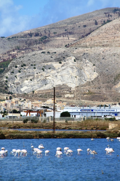 Sicily-Marsala-1