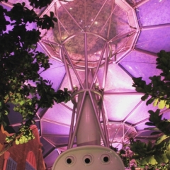 Singapore (4)