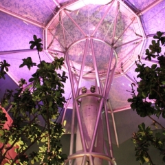 Singapore (5)