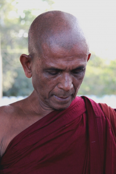 Sri Lanka (104)