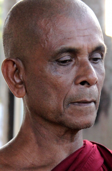 Sri Lanka (105)