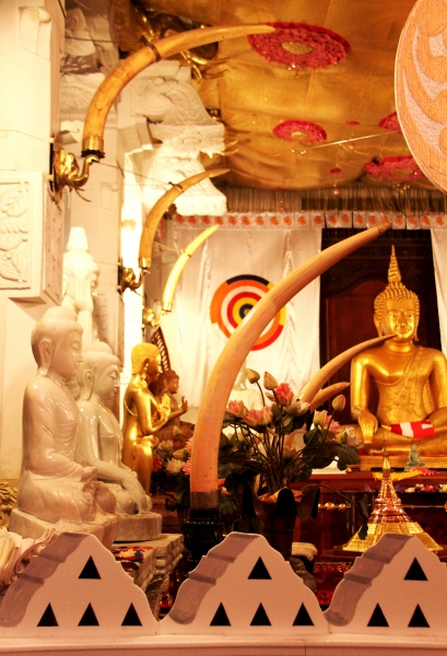 Sri Lanka (135)