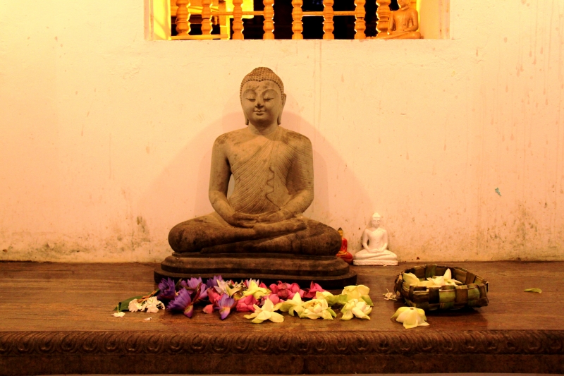 Sri Lanka (140)