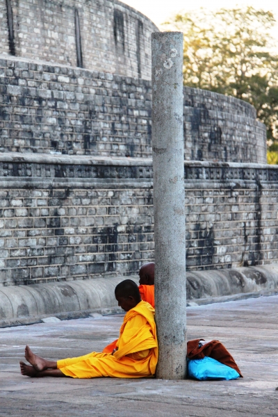 Sri Lanka (17)
