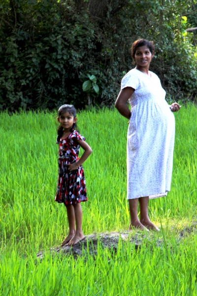 Sri Lanka (195)
