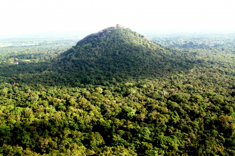 Sri Lanka (198)