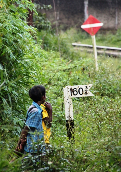 Sri Lanka (201)