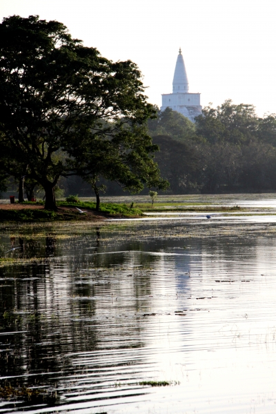 Sri Lanka (21)