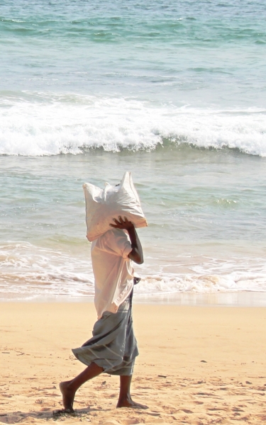 Sri Lanka (221)