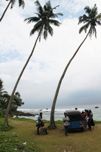 Sri Lanka (225)