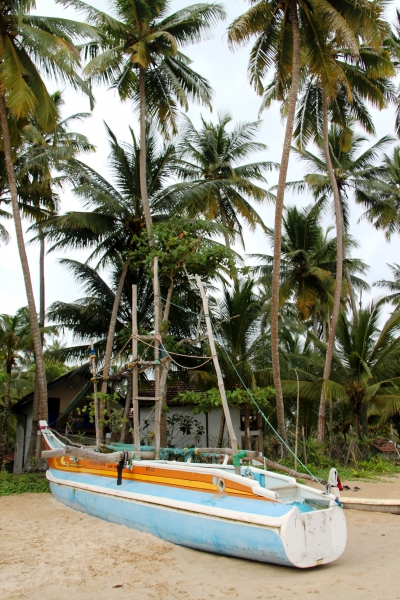 Sri Lanka (230)