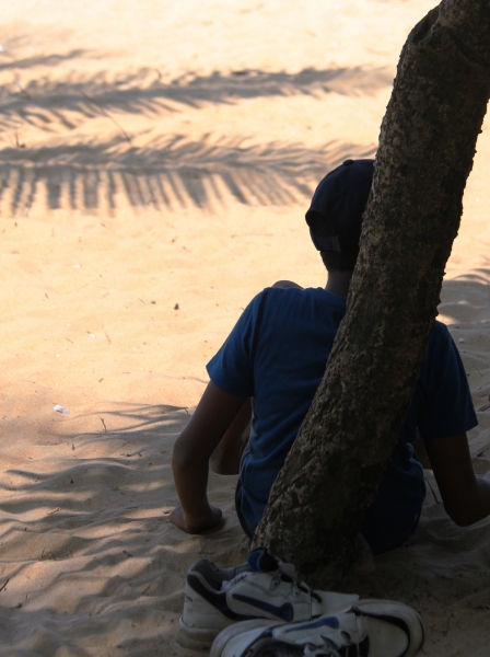 Sri Lanka (233)