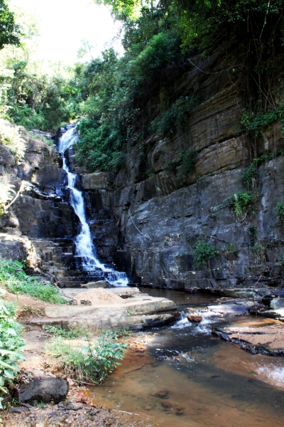 Sri Lanka (235)