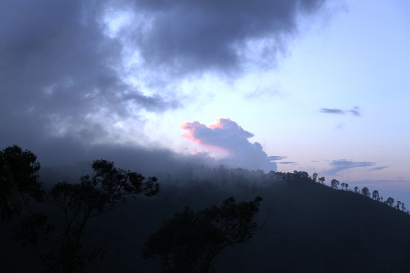 Sri Lanka (240)
