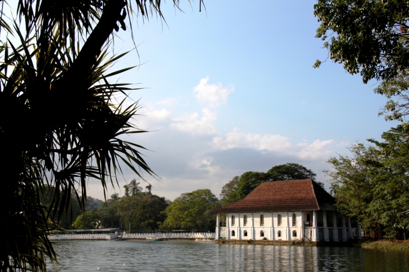 Sri Lanka (246)