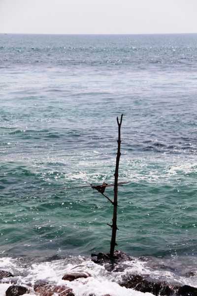 Sri Lanka (26)