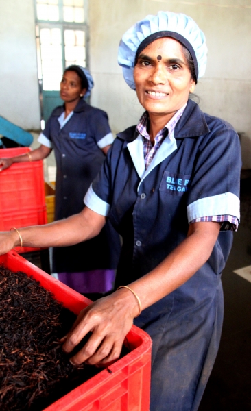 Sri Lanka (261)