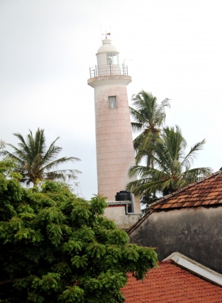 Sri Lanka (276)