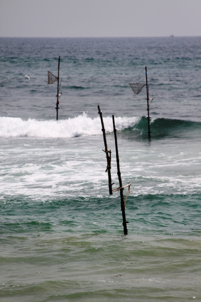 Sri Lanka (31)