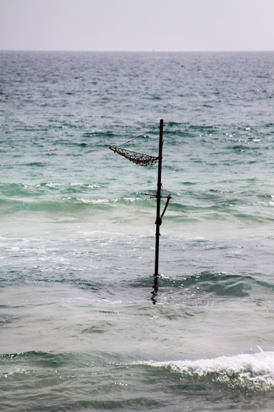 Sri Lanka (32)