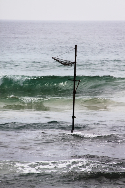 Sri Lanka (33)