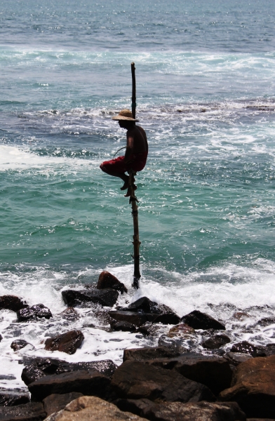 Sri Lanka (36)
