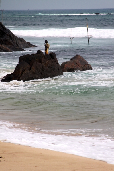 Sri Lanka (37)