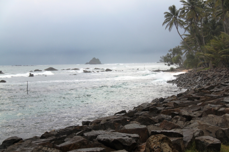 Sri Lanka (38)
