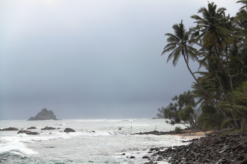 Sri Lanka (39)