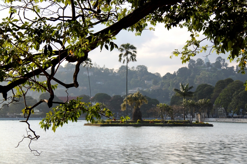 Sri Lanka (48)
