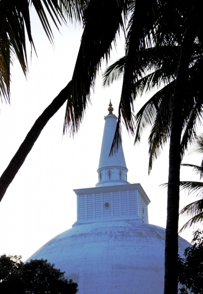 Sri Lanka (5)