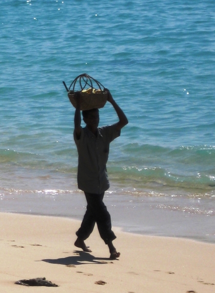 Sri Lanka (69)