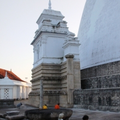 Sri Lanka (10)