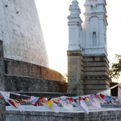 Sri Lanka (19)
