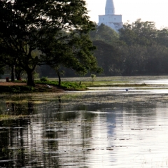 Sri Lanka (21)