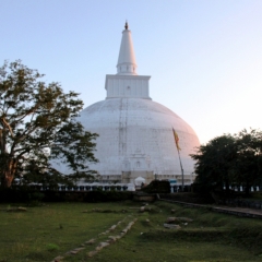 Sri Lanka (23)