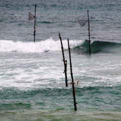 Sri Lanka (31)