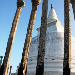 Sri Lanka (4)