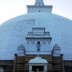 Sri Lanka (8)