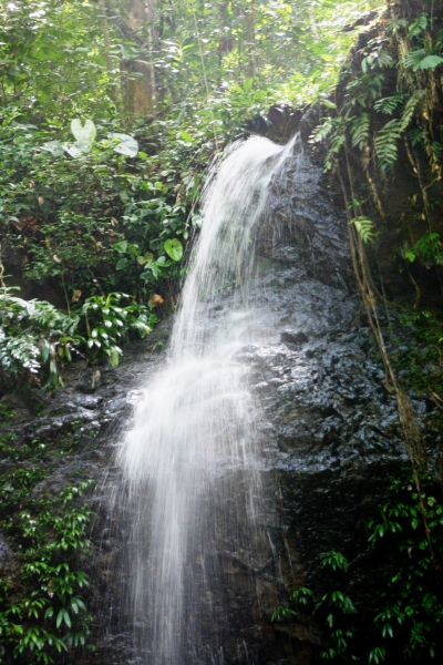 Suriname (1)