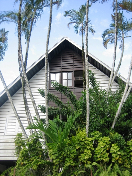 Suriname (25)