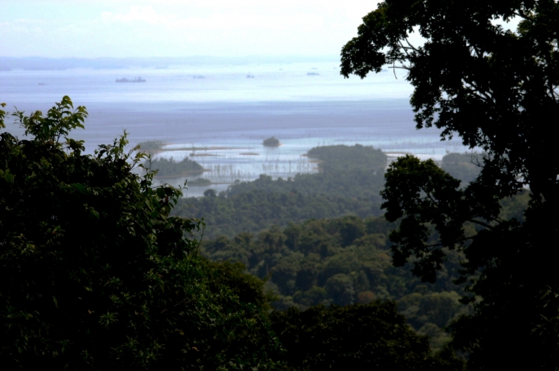 Suriname (3)