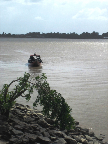 Suriname (40)