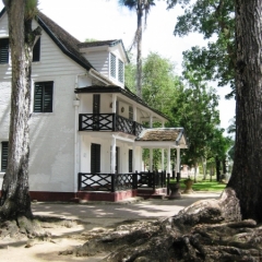 Suriname (26)