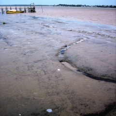 Suriname (35)