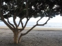 tenerife